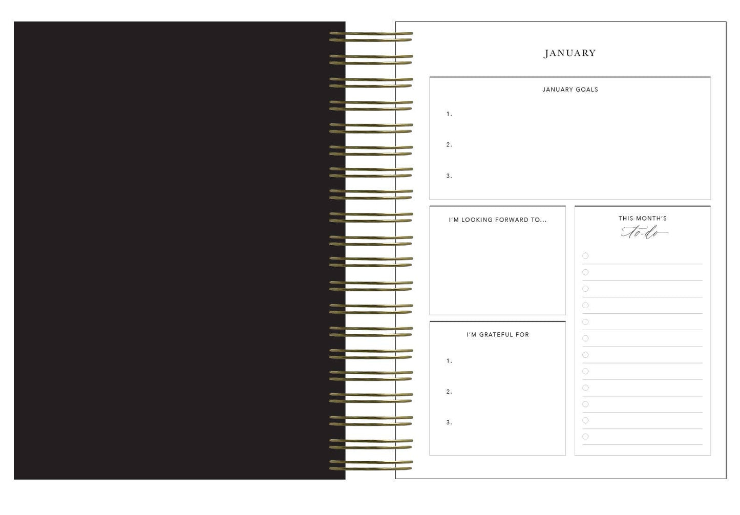 2024 Daily Planner Liquorice