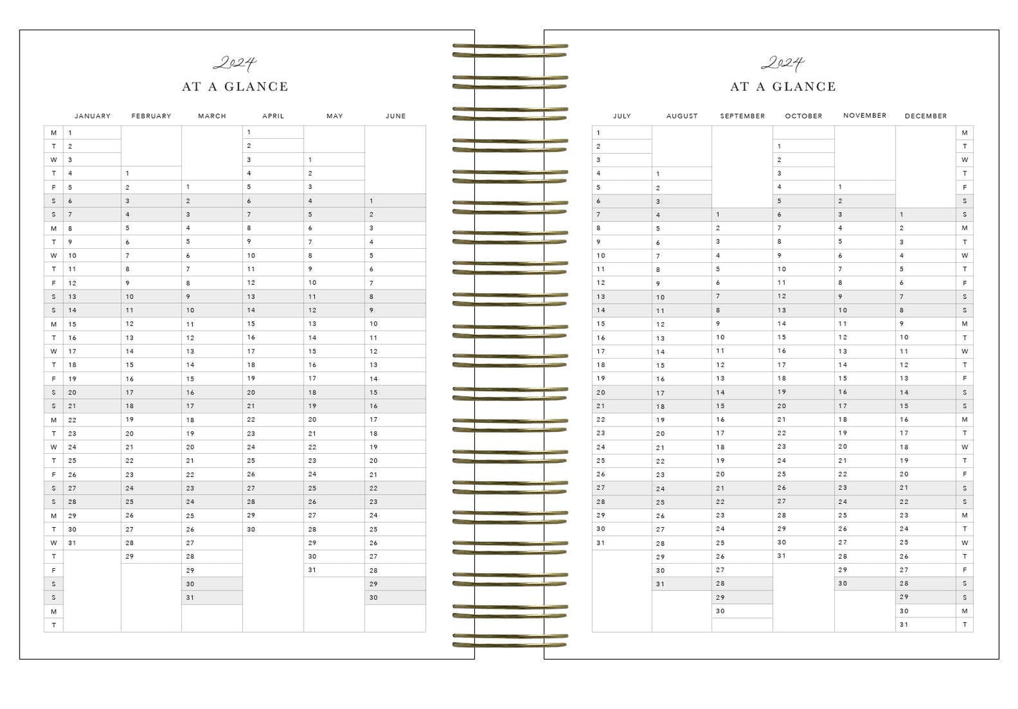 2024 Daily Planner Juniper